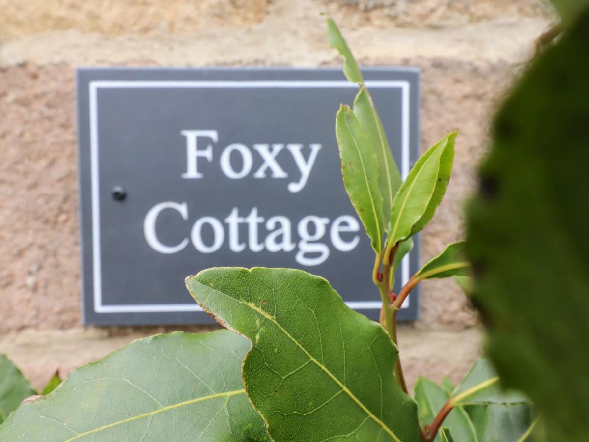 Foxy *